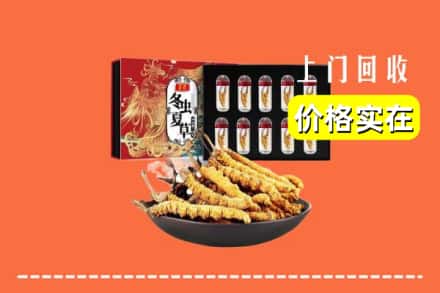 城固县回收冬虫夏草
