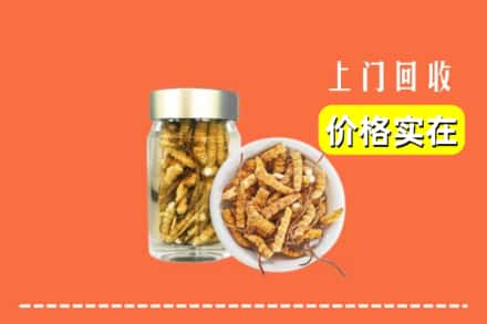 城固县回收散虫草