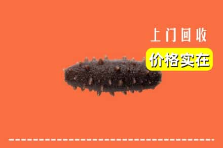 城固县回收海参