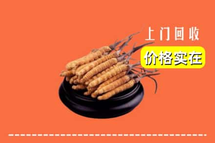 城固县回收冬虫夏草